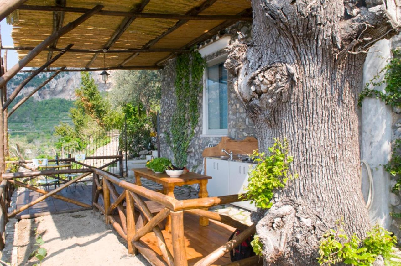 Fattoria La Tagliata Bed & Breakfast โปซิตาโน ภายนอก รูปภาพ