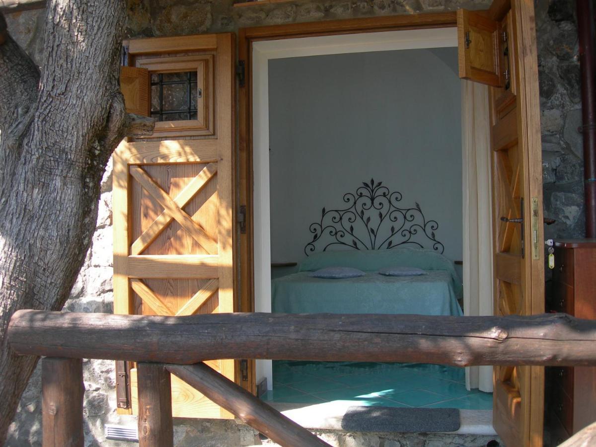 Fattoria La Tagliata Bed & Breakfast โปซิตาโน ภายนอก รูปภาพ